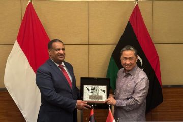 Anis Matta berharap komisi bersama perkuat hubungan Indonesia-Libya