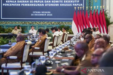 Presiden Prabowo tegaskan daerah terdampak bencana tak boleh kekurangan pangan