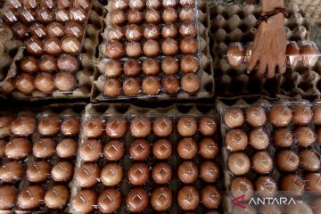 PIHPS rilis harga pangan hari ini: cabai rawit Rp79.400/kg, telur ayam Rp32.850/kg