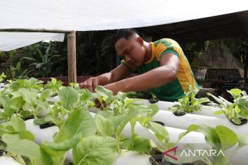 Satgas Pamtas Kostrad wujudkan ketahanan pangan mandiri