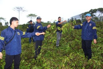 Polres Garut ringkus tiga perusak kebun teh di Cikajang
