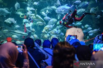 Libur Natal, 43.500 orang kunjungi kawasan Ancol