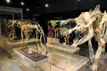 Wisata Museum Zoologi dan Kebun Raya Bogor