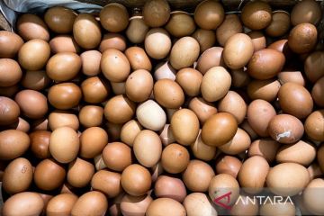 PIHPS rilis harga pangan hari ini: cabai rawit merah Rp65.300/kg, telur ayam Rp32.950/kg