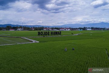 Alokasi Pupuk Subsidi Sumatera Barat