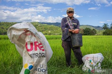 Penurunan HET Pupuk Subsidi