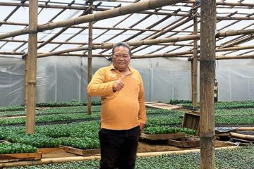 PNM komitmen berdayakan UMK melalui layanan modal mikro syariah