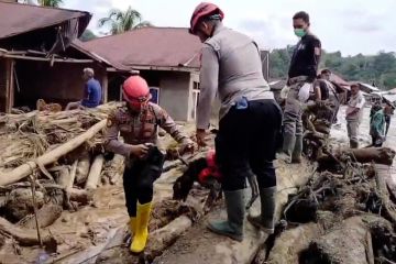 Mendagri respons penjarahan Sibolga & kayu gelondongan usai bencana