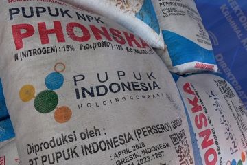 Pemprov Sumsel ajukan tambahan 76 ribu ton pupuk subsidi untuk 2026