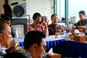Jelang tutup tahun 2025, realisasi pajak NTB - NTT capai Rp4,4 triliun