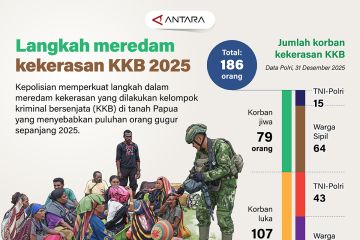Langkah meredam kekerasan KKB 2025