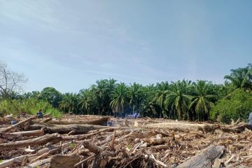 Kemenhut gandeng pakar hidrometeorologi dan kayu selidiki DAS Sumut