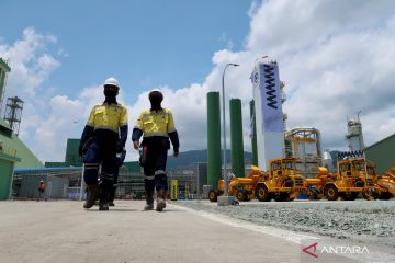 Amman Mineral target produksi emas tembus 16,1 ton pada akhir 2026