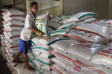 Stok beras Nasional meningkat