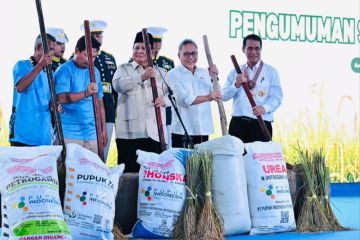 Seskab: Presiden wujudkan swasembada pangan dalam setahun