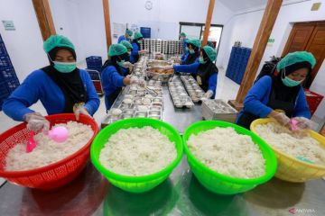 Program MBG ciptakan lapangan kerja baru