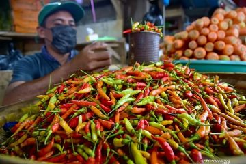 Daftar harga pangan hari ini: Cabai rawit merah Rp53.854/kg, telur ayam Rp29.938/kg