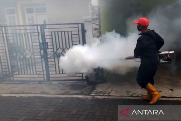 Vaksin dengue, ikhtiar baru lindungi anak-anak dari ancaman DBD