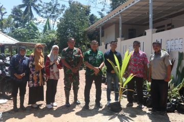 Pemkab Kuningan distribusikan bibit kelapa genjah ganti komoditas sawit