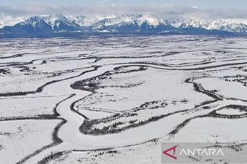Trump dikabarkan minta rencana invasi ke Greenland