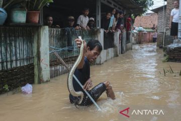Banjir rendam permukiman warga di Kota Cilegon