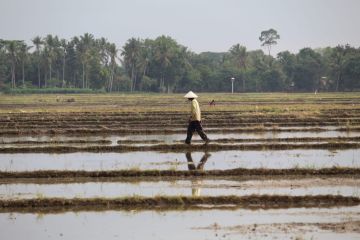 Realisasi penyaluran KUR di Lampung mencapai Rp9,93 triliun
