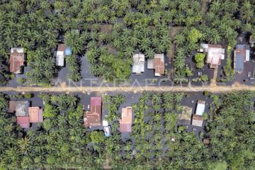 Banjir di Tanjung Jabung Timur