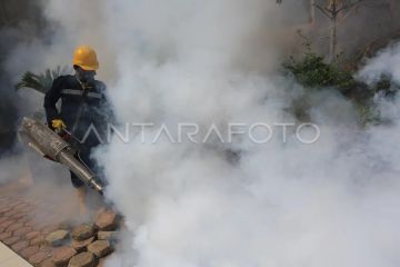 Dinkes Aceh Tamiang pastikan pengasapan lokasi pengungsian berlanjut