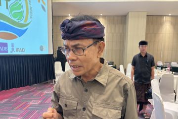 Pemprov Bali larang lalu lintas sapi Jembrana buntut 28 kasus LSD