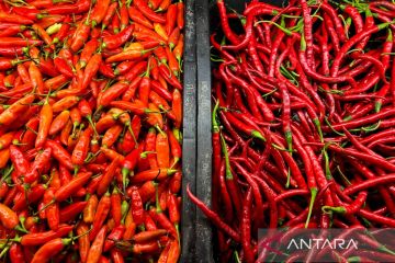 PIHPS rilis harga pangan hari ini: cabai rawit merah Rp57.150/kg, telur ayam Rp36.000/kg