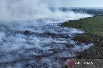 Karhutla di Aceh Barat