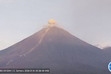 Gunung Semeru hari ini alami 23 kali gempa letusan selama enam jam