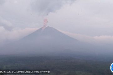 Semeru enam kali erupsi dengan tinggi letusan hingga 1 km hari ini Senin