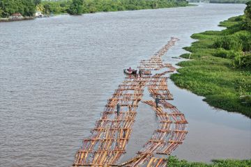 Gakkum Kemenhut gagalkan peredaran 600 batang kayu ilegal di Kalbar