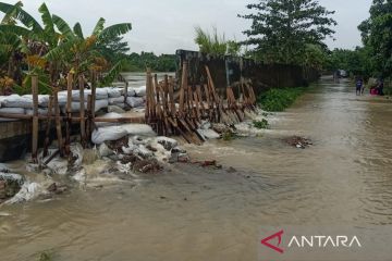 Pemkab Bekasi minta lakukan perbaikan tanggul kritis secara permanen