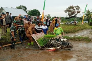 Belitung rancang pengembangan lahan tidur untuk perluasan sawah tingkatkan produksi padi