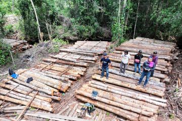 Lacak sumber kayu ilegal, Kemenhut temukan 1.500 batang kayu di Kalbar