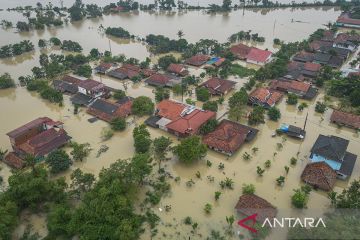 Prabowo perintahkan bentuk tim analisis penyelesaian banjir di Jawa