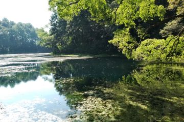 Polres Kuningan usut dugaan penggunaan mata air ilegal di TNGC