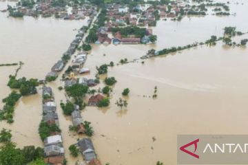 Hari ini Jumat, ribuan hektare sawah di Karawang terendam banjir