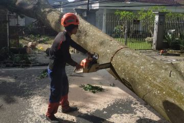 BMKG beber penyebab angin kencang yang melanda wilayah Malang