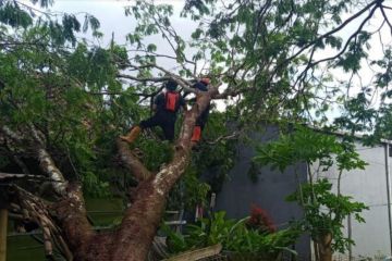 BPBD Kuningan mengimbau warga waspada potensi bencana dampak cuaca ekstrem