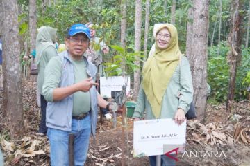 ULM tanam 749 bibit pohon lokal endemik Kalsel di IKN