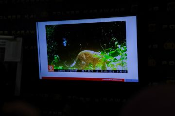 Polres Karawang tangkap lima pelaku perburuan liar di Gunung Sanggabuana