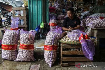 Kemendag: Bawang putih impor segera masuk, harga ditargetkan turun