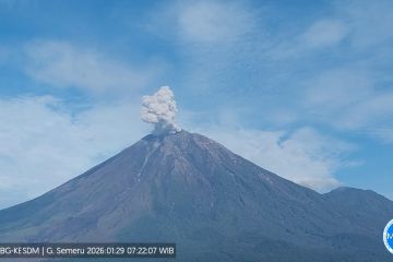 Gunung Semeru hari ini Kamis erupsi dengan tinggi letusan 700 meter di atas puncak