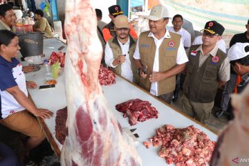 BNPB: Distribusi logistik dan harga sembako di Gayo berangsur normal