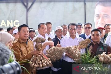 Mentan tetapkan NTB sentra bawang putih untuk swasembada pangan