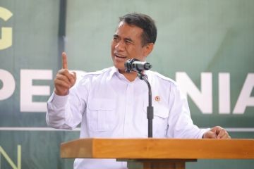Mentan tegaskan impor bawang putih dihentikan lima tahun ke depan