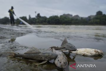 Sungai Cisadane tercemar pestisida